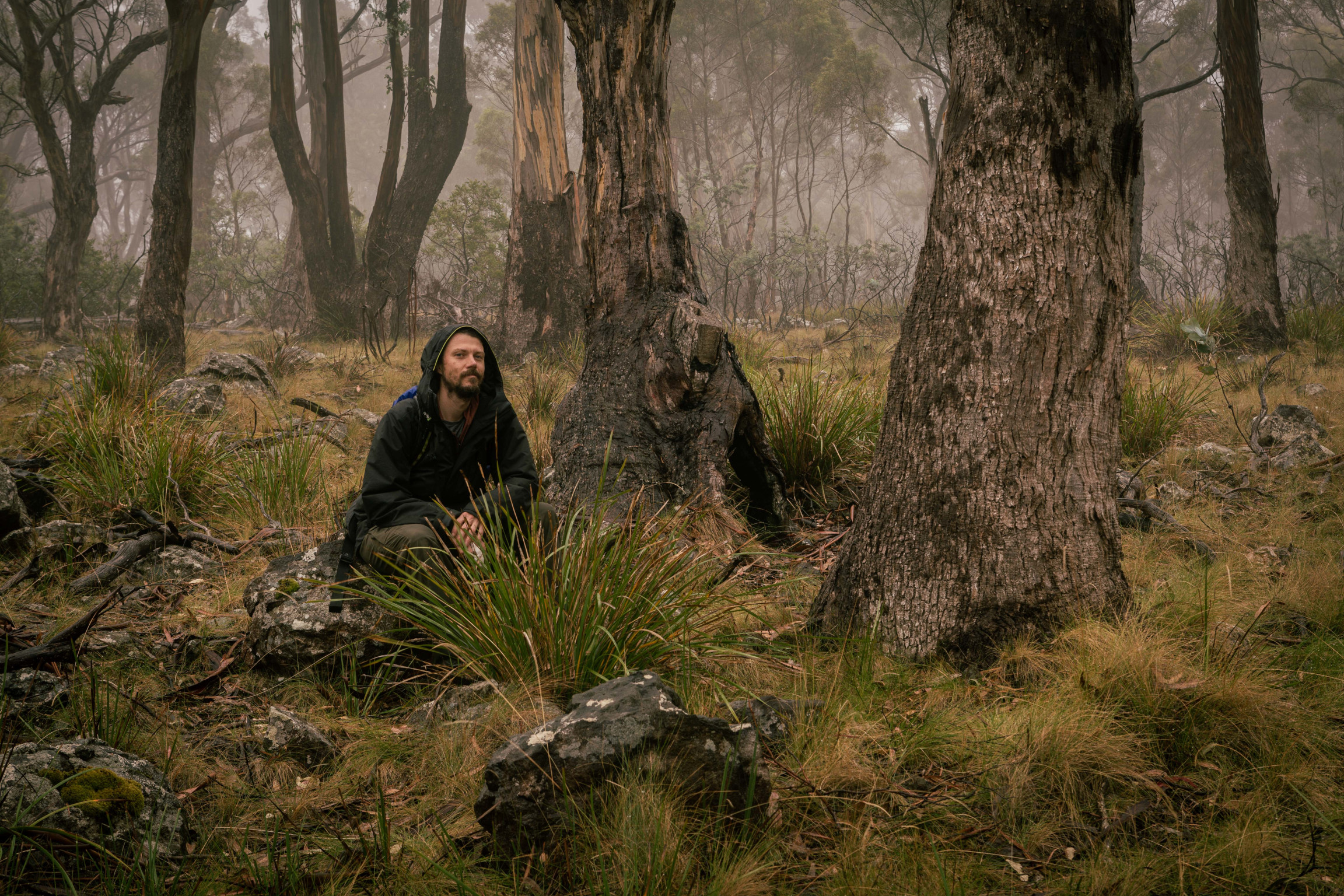 About Jared Cambridge